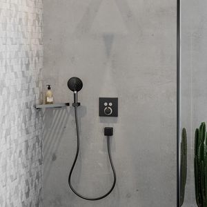 Handdouche 120 3 straalsoorten PowderRain EcoSmart+ Brushed Black Chrome RD Sel S