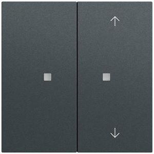 Drukc. wip 2-v onbedrukt/pijlen OneKNX System 70 antracit(ge