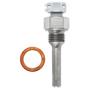 Dompelbuis RVS 50mm G1/4" SW17