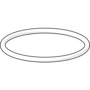 O-ring 59904764