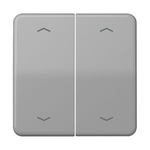 Wip gr.met pijl v.KNX F10 tast 2voudig CD500