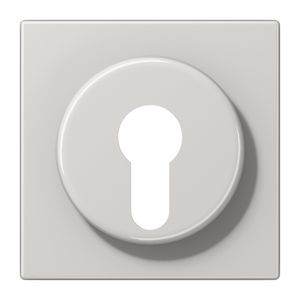 Afdekking licht grijs voor sleutelschakelaar LS990