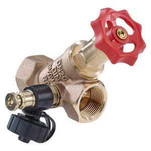 Vrijstroomafsluiter 1"bi x 1"bi DN25 brons 270502 VVE=10