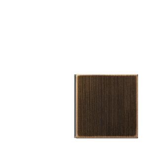 Tastafdekking lb/ro LS messing antiek KNX