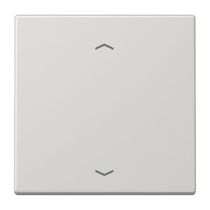 Wip LS990 lichtgrijs pijl v.KNX F10 taster 1voudig