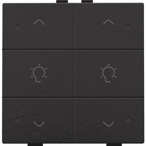 Dubbele dimbediening met led Home Control piano black
