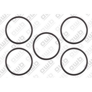 O-ring pomp sanitair TE6 0020125437