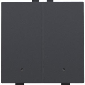 2-voudige drukknop led Home Control anthracite