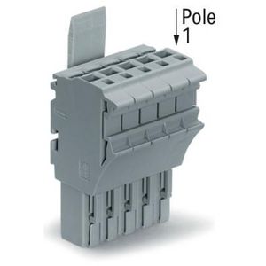 1-draads FE steker 4 mm² grijs 2022-105/123-000 VVE=50