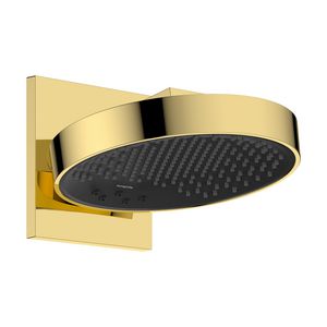 Hoofddouche 250 met douchearm 3 straalsoorten EcoSmart Wand Polished Gold Optic Rainfinity