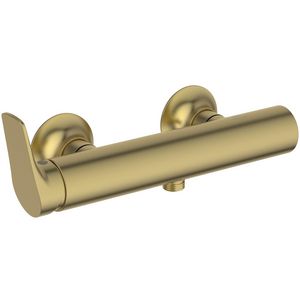 Douchemengkraan 304x101x105mm brushed gold 12l/min La Dolce Vita