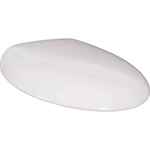 Ovaal met QuickRelease en SoftClosing scharn. RVS 98M1S1R1