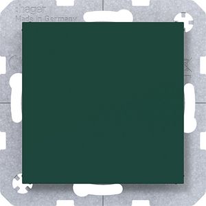 Blindplaat met centraalplaat A.x/C.x jade halfglanzend