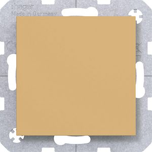 Blindplaat met centraalplaat A.x/C.x hazel mat