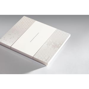 Afdekplaat 2 modulen pixel K4702 LivingNow