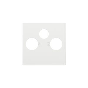 Afwerkingsset 2 enkelvoudige coaxaans. TV/FM/Satt. white c.