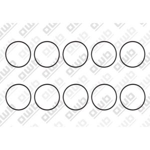 Set a 10st. O-ring te6 0020118135