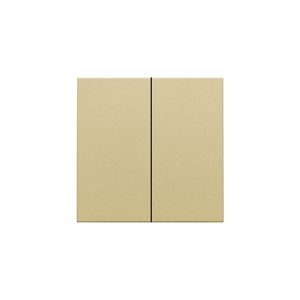 Afwerkingsset dubbele elektr. schakelaar /knop gold