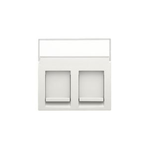 Centraalplaat data 2x RJ met tekstveld white