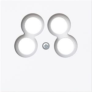 Centraalplaat 50 x 50 Ankaro antenne art-wit (1743/10-04-44G)