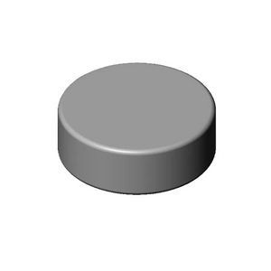 Greep 26x9mm Champagne gebors. (22kt Goud)