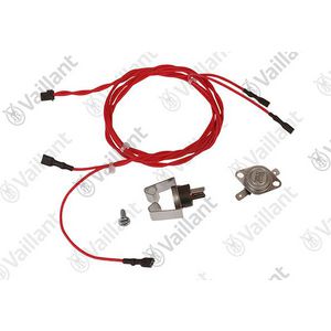 Sensor met kabel 0010026293