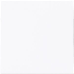 Centraalplaat 1 x uit boring 10mm art-wit (1749-44G)