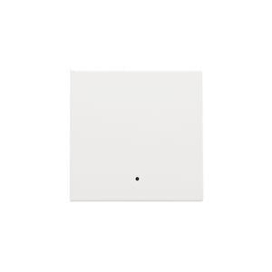 Afwerkingsset lens enkelvoudige elektr. Schakelaar white c.