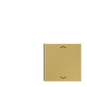 Tastafdekking lb/ro pijl LS messing klass KNX