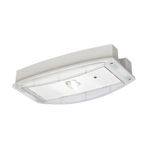 Noodverlichting decentraal AT/CGL+ 3u kunststof IP65 ruimteverl. sym