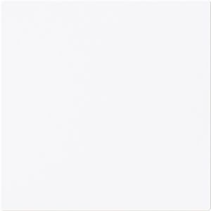Centraalplaat kd voor 50 x 50 Centraalplaat art-wit (1746-44G)