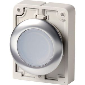 Signaaldrukknop 30mm RVS vlak sealed wit terugverend