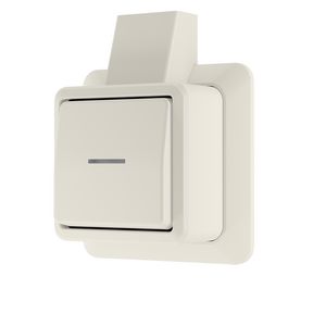 AP600 wipcontroleschakelaar 1p/wissel + montageplaat wit VVE=10