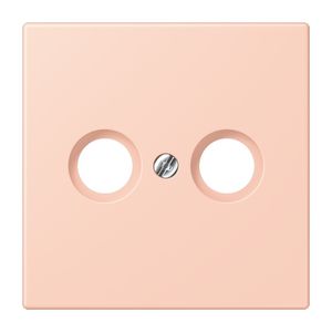 Afdekking CAI 2-gats LC32112