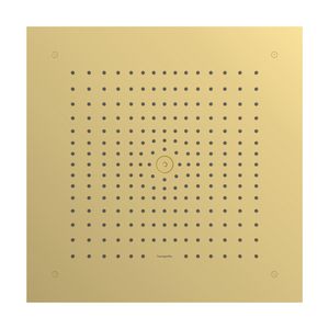 Hoofddouche 400 1 straalsoort EcoSmart plafond inbouw Polished Gold Optic Raindance E