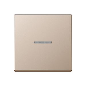 Tastafdekking 1voudig A500 champagne KNX RF