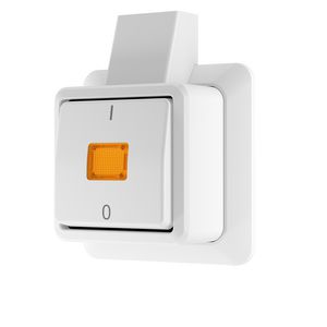 AP600 wipcontroleschakelaar 2p + montageplaat alpine wit VVE=10