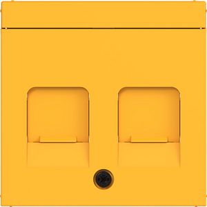 Centraalplaat KeyStone 2-v stofbescherming tekstv. A.x/C.x saffron m