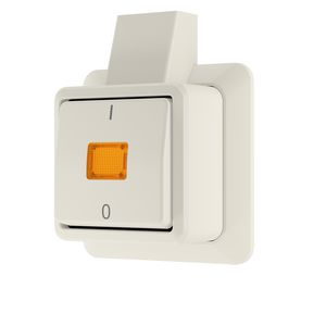 AP600 wipcontroleschakelaar 2p + montageplaat wit VVE=10