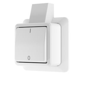 AP600 wipschakelaar 2p + montageplaat alpine wit VVE=10