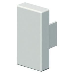 MINI EINDSTUK 10x21 RAL9010 VVE=10