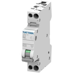 Installatieautomaat 1-polig + Nul 20A B-karakteristiek