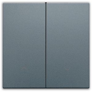 Afwerkingsset dubbele elektr. rolluikschakelaar blue grey