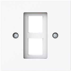 Centraalplaat 2x modular jack 216000-2/216005-4 art-wit (2561-02-44G)