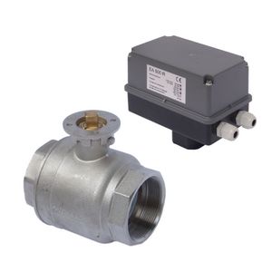 2-weg Motorkogelkraan 2.1/2" 230V 2 hulpcontact