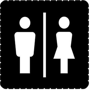 Icelight pictogram wc dames/heren