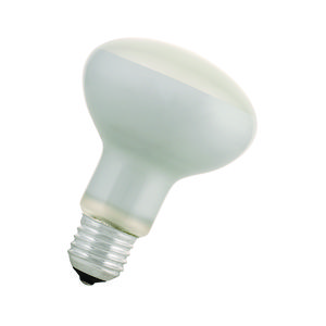 Hoogvolt halogeenreflectorlamp EE R80 E27 240V 30D FR VVE=10