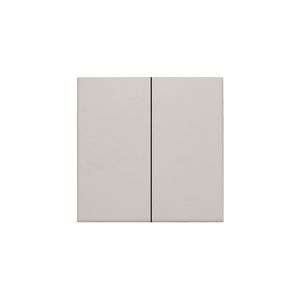 Afwerkingsset dubbele elektr. schakelaar /knop l.grey