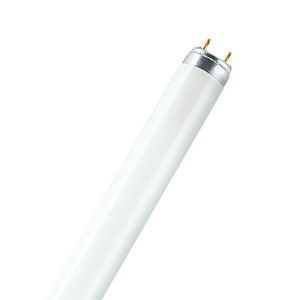 TL-buis FLUORA T8 G13 58W/77 VVE=5
