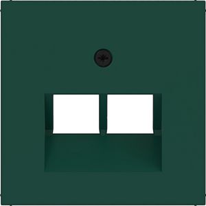 Centraalplaat voor datadoos 2-v schuine uitgang A.x/C.x jade halfgl